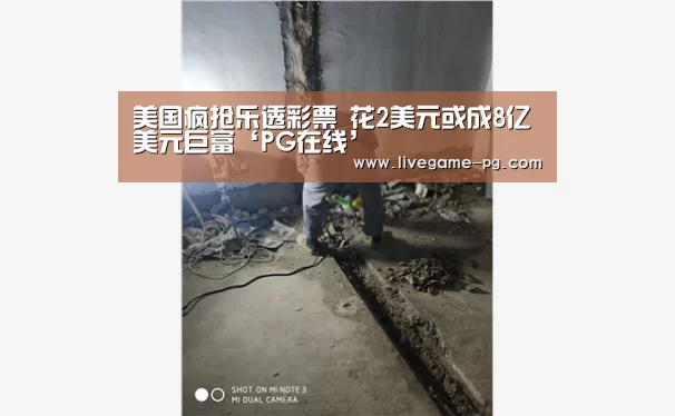 PG体育