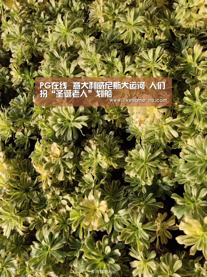 PG在线-意大利威尼斯大运河 人们扮“圣诞老人”划船(图2) PG在线