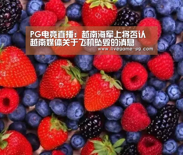 PG电竞直播:越南海军上将否认越南媒体关于飞机坠毁的消息(图2) PG登录