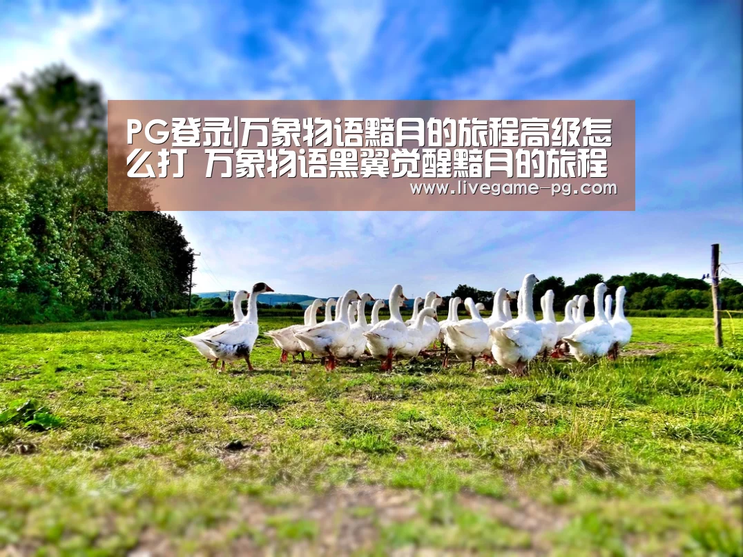 PG登录|万象物语黯月的旅程高级怎么打 万象物语黑翼觉醒黯月的旅程高级(图2) PG登录