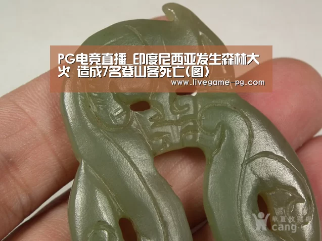 PG电竞直播_印度尼西亚发生森林大火 造成7名登山客死亡(图)(图2) PG在线