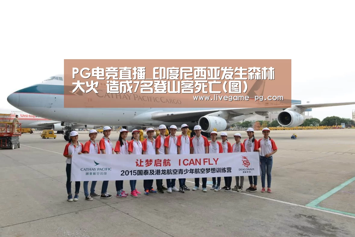 PG电竞直播_印度尼西亚发生森林大火 造成7名登山客死亡(图)(图1) PG电竞直播