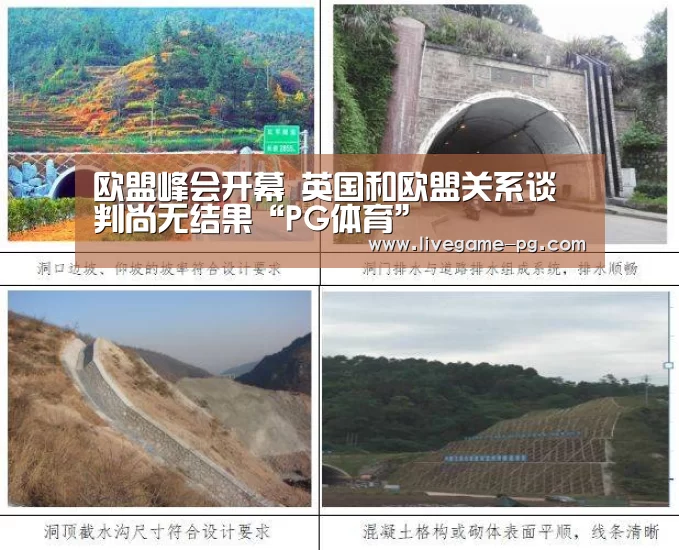 欧盟峰会开幕 英国和欧盟关系谈判尚无结果“PG体育”(图1) PG在线