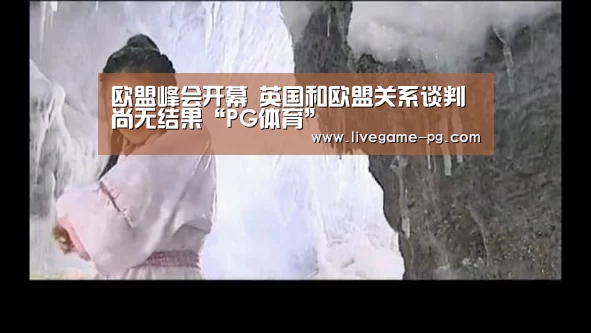 欧盟峰会开幕 英国和欧盟关系谈判尚无结果“PG体育”(图3) PG登录